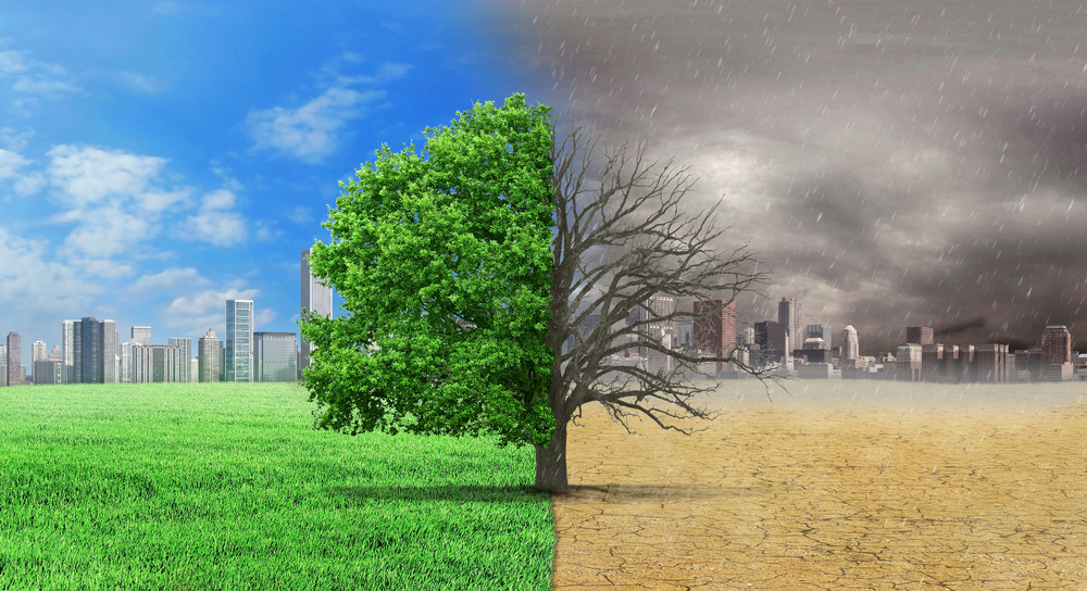 A composite image split vertically. On the left, a vibrant green tree stands on lush grass under a clear blue sky, with a modern city skyline in the background. On the right, the same tree is barren and dead, standing on cracked, dry earth under a stormy, grey sky with rain, and a faded, distant city skyline.